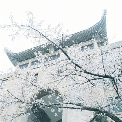 京彩乐市新春乐购会将在北京坊举办